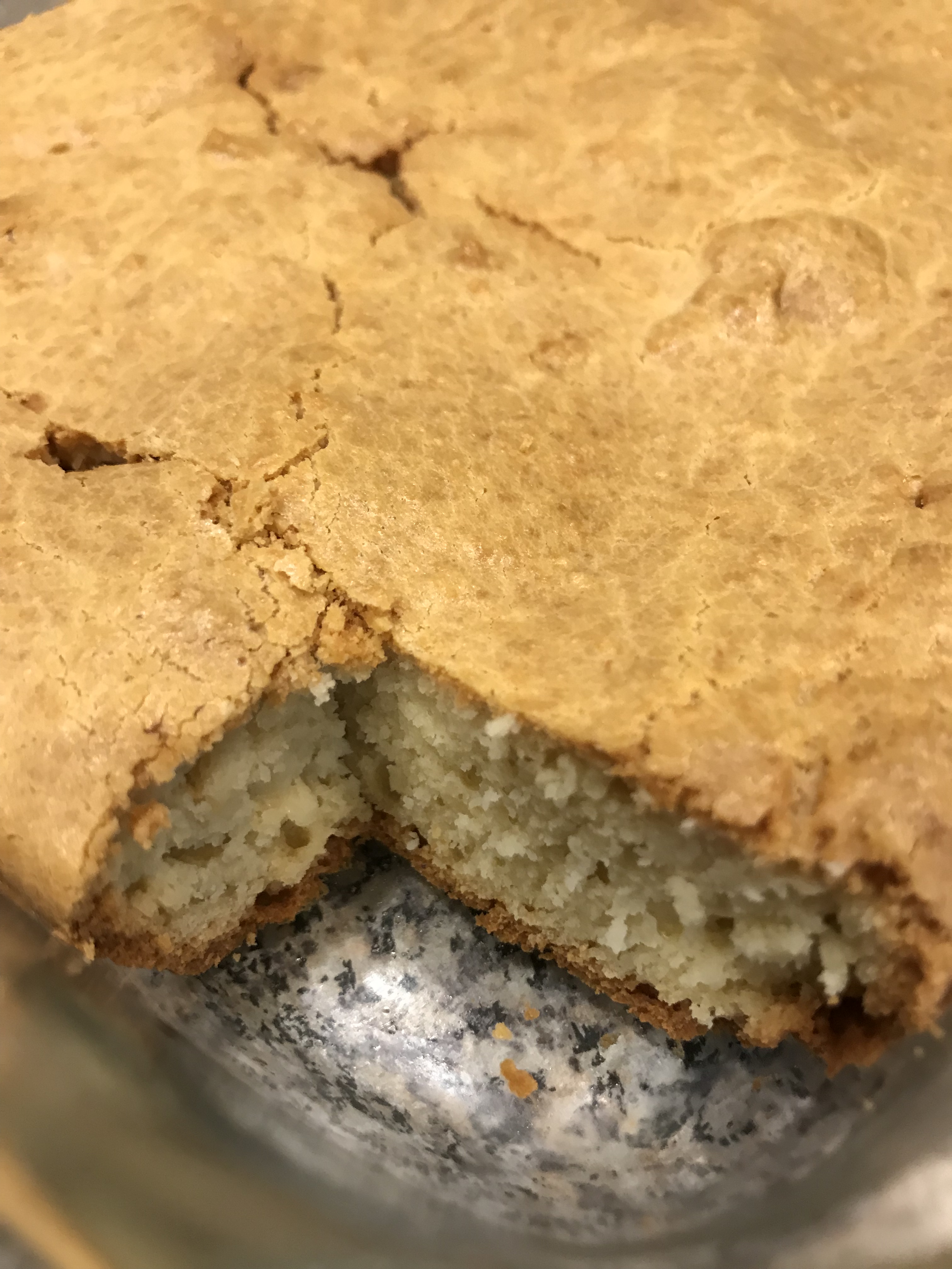 FFE8C211-E0EB-4A47-B339-6D1603B498F1